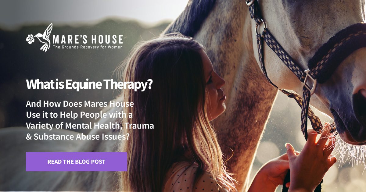 What Is Equine Therapy And How Can It Help Young Women In Recovery?